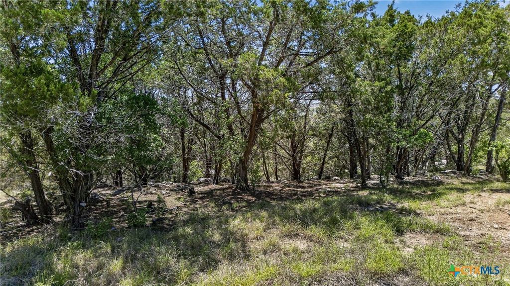 600 Lorne Road, Canyon Lake, TX 78133