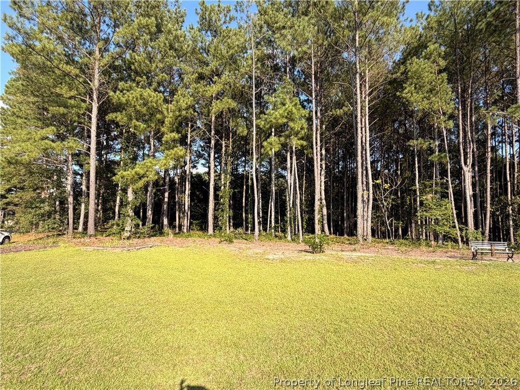 101 Heavens Gate Court, Sanford, NC 27332 — photo 35