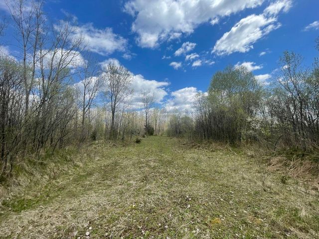TBD 170th Street N, Hugo, MN 55038
