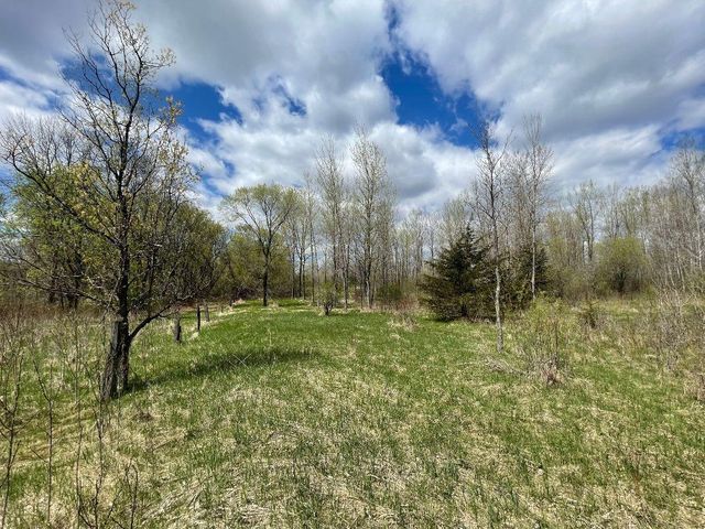 TBD 170th Street N, Hugo, MN 55038