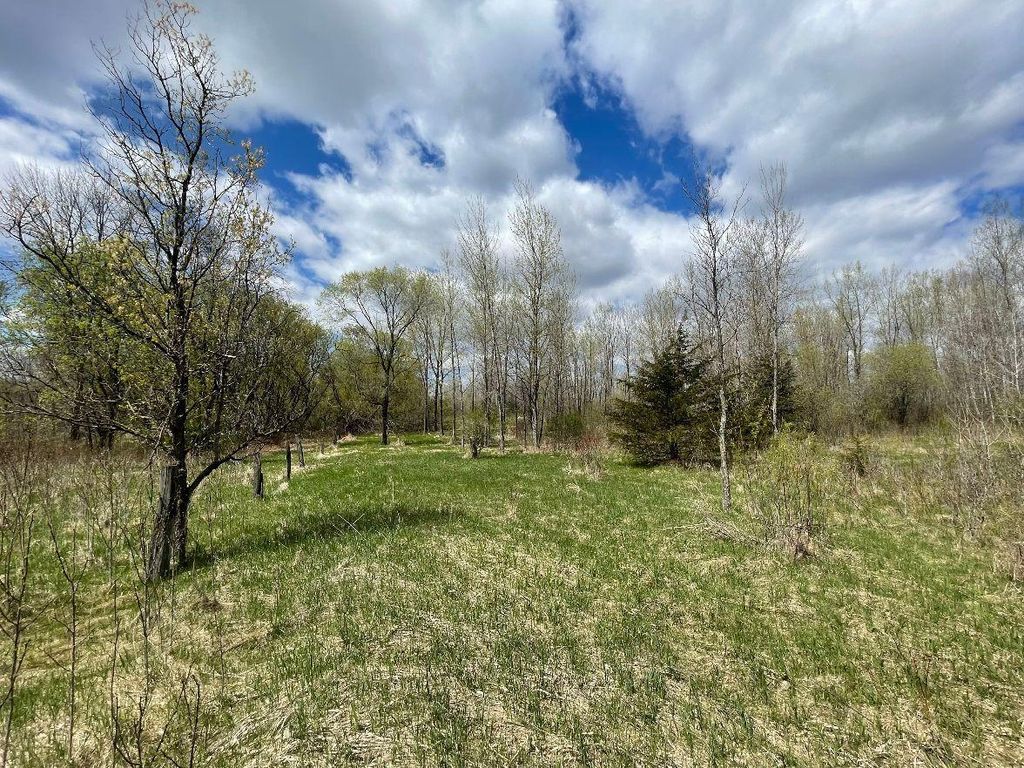 TBD 170th Street N, Hugo, MN 55038 — photo 2