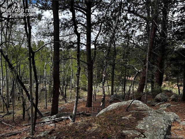 210 Crescent Drive, Florissant, CO 80816