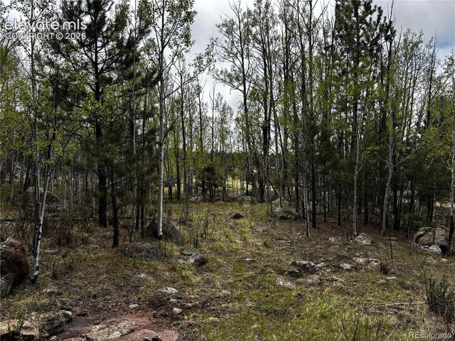210 Crescent Drive, Florissant, CO 80816