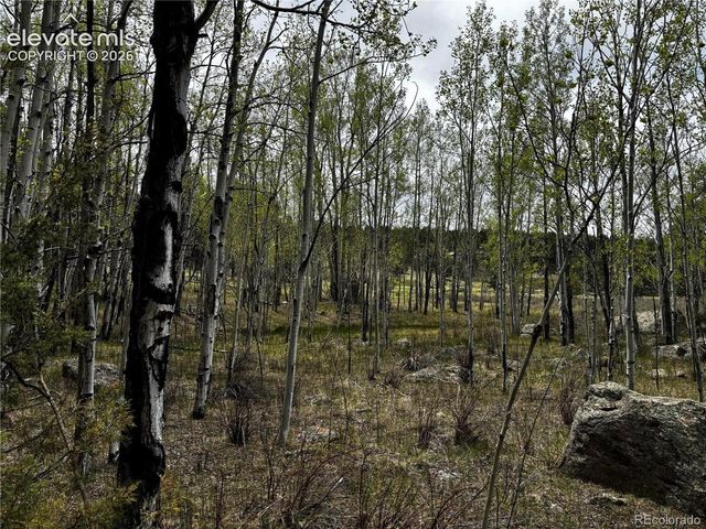 210 Crescent Drive, Florissant, CO 80816