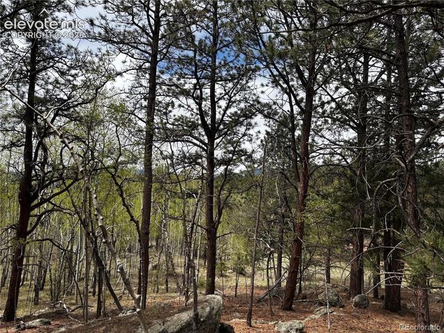 210 Crescent Drive, Florissant, CO 80816