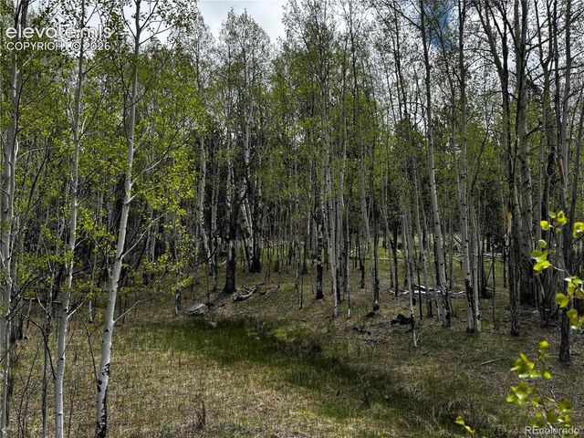 210 Crescent Drive, Florissant, CO 80816