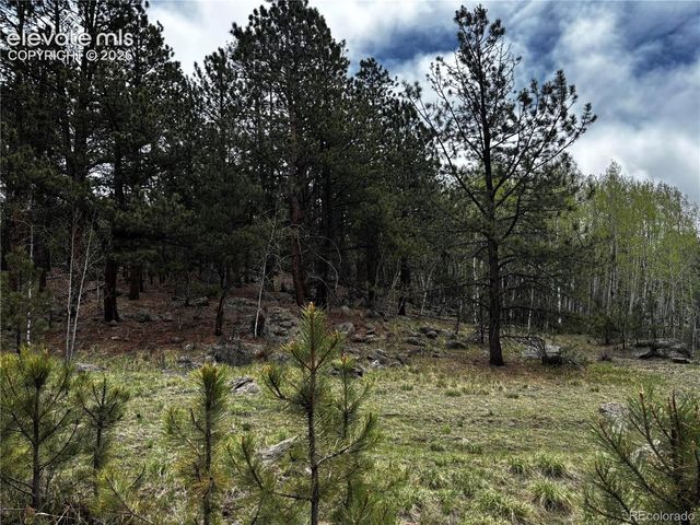 210 Crescent Drive, Florissant, CO 80816