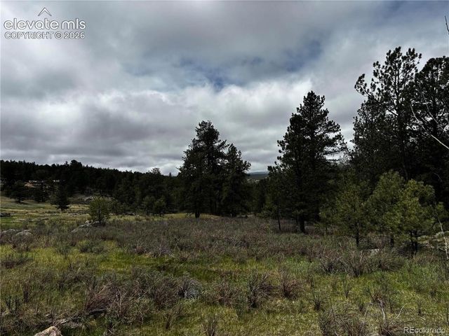 210 Crescent Drive, Florissant, CO 80816