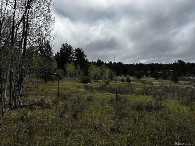 210 Crescent Drive, Florissant, CO 80816