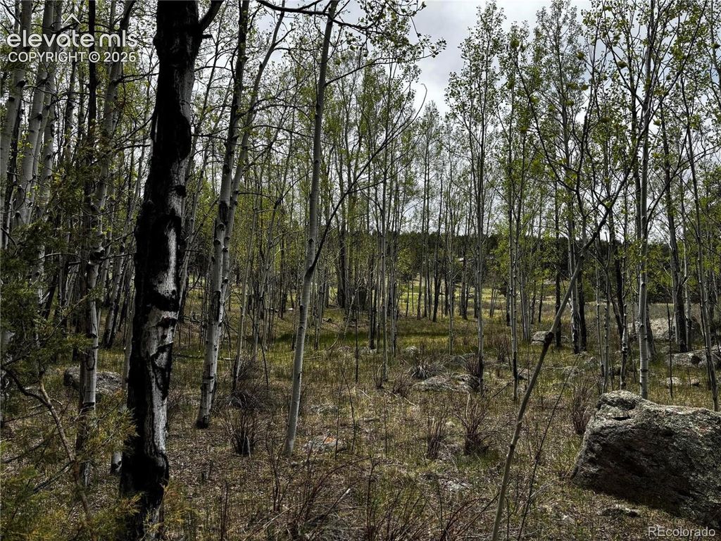 210 Crescent Drive, Florissant, CO 80816 — photo 4