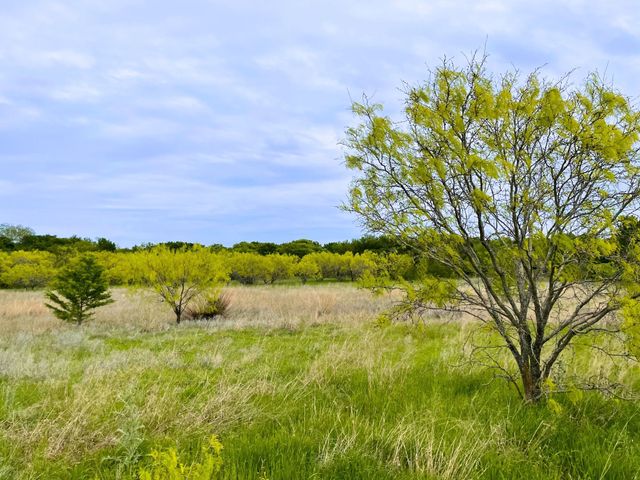 959 M and M Ranch Road, Granbury, TX 76049