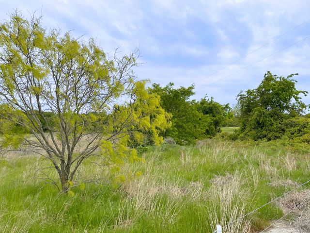 959 M and M Ranch Road, Granbury, TX 76049