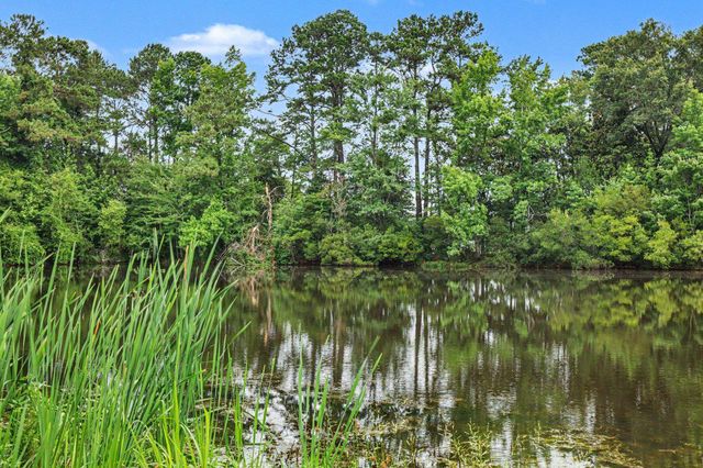 TBD Mitchell Sea Rd., Green Sea, SC 29545
