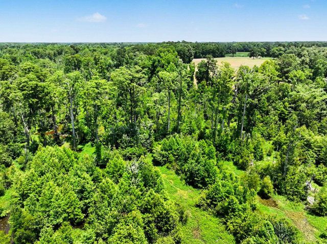 TBD Mitchell Sea Rd., Green Sea, SC 29545