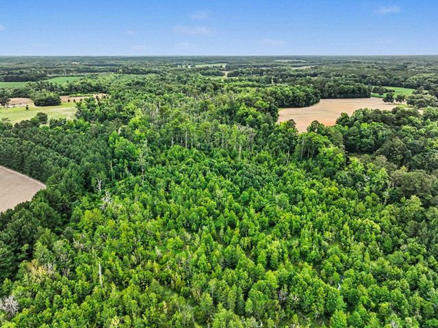TBD Mitchell Sea Rd., Green Sea, SC 29545