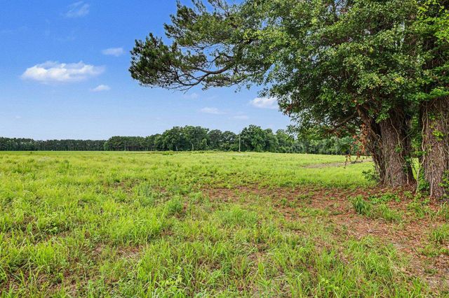 TBD Mitchell Sea Rd., Green Sea, SC 29545