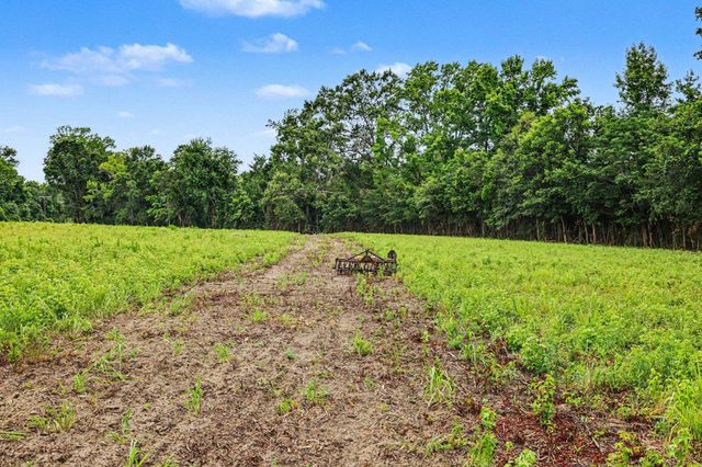 TBD Mitchell Sea Rd., Green Sea, SC 29545