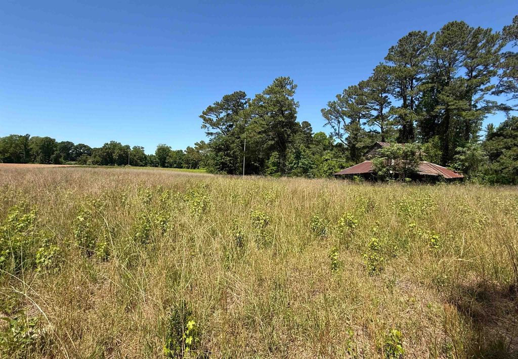 TBD Mitchell Sea Rd., Green Sea, SC 29545