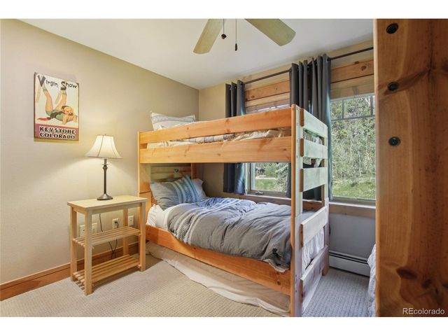 188 Tip Top Trl 6558, Dillon, CO 80435