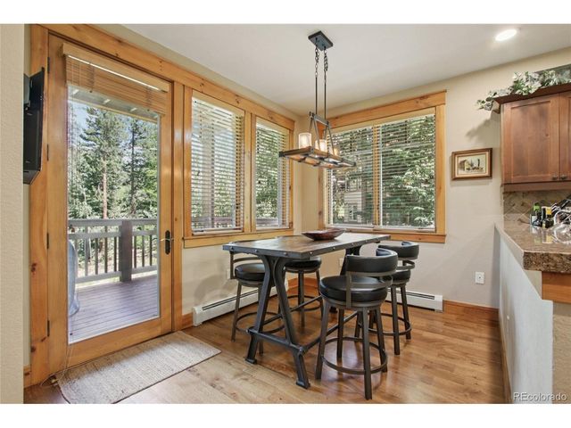 188 Tip Top Trl 6558, Dillon, CO 80435