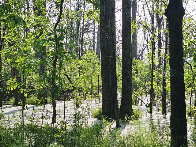 9159 Moreland Road, Jerome, MI 49249