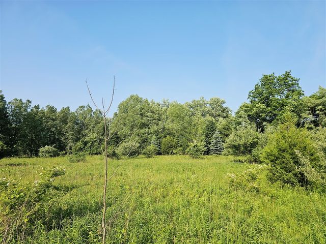 9159 Moreland Road, Jerome, MI 49249