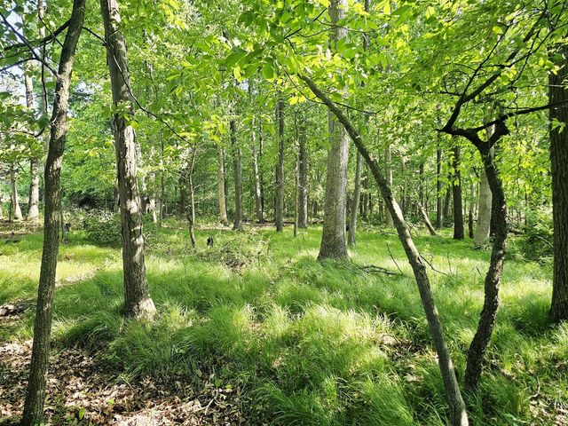 9159 Moreland Road, Jerome, MI 49249