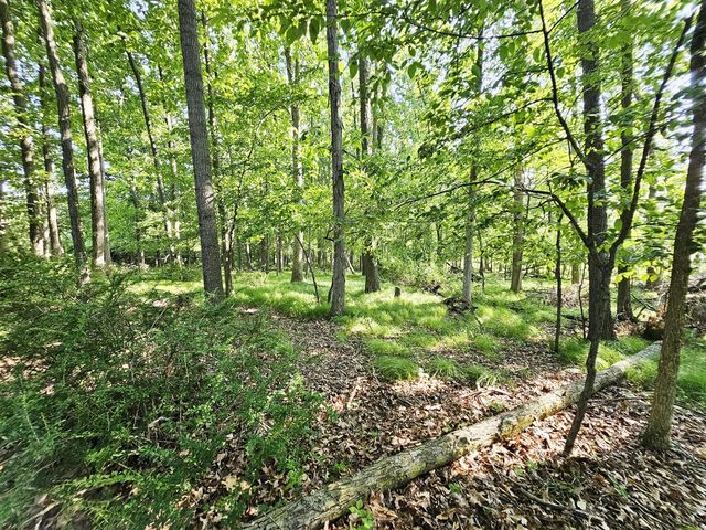 9159 Moreland Road, Jerome, MI 49249