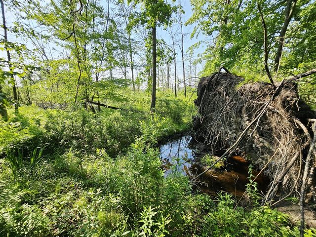 9159 Moreland Road, Jerome, MI 49249