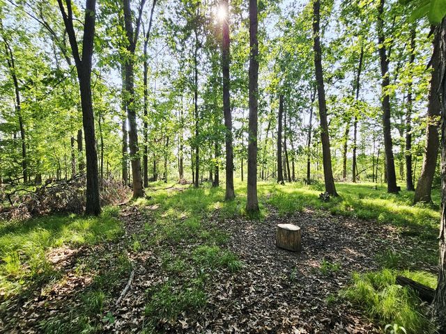 9159 Moreland Road, Jerome, MI 49249