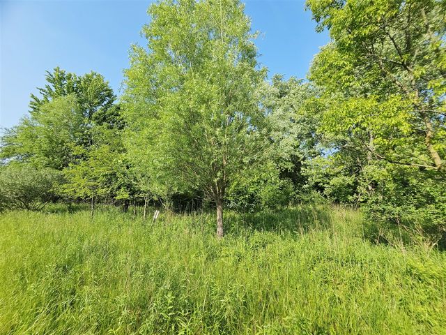 9159 Moreland Road, Jerome, MI 49249