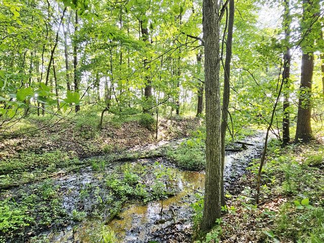 9159 Moreland Road, Jerome, MI 49249