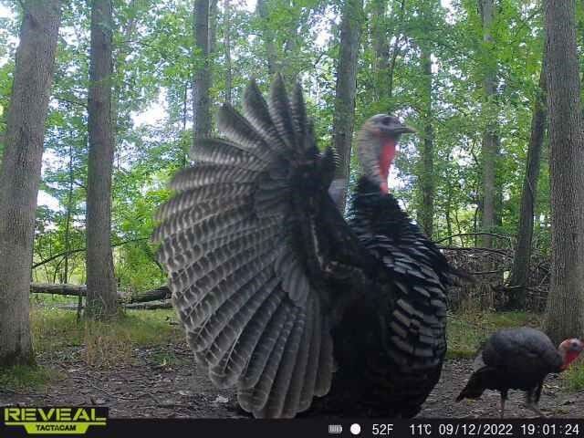 9159 Moreland Road, Jerome, MI 49249