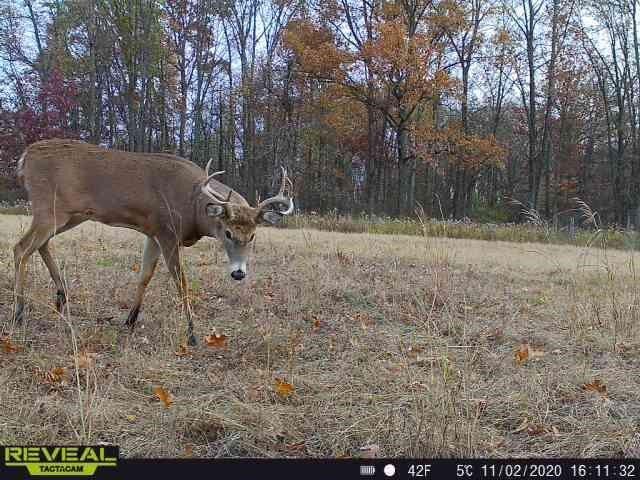 9159 Moreland Road, Jerome, MI 49249