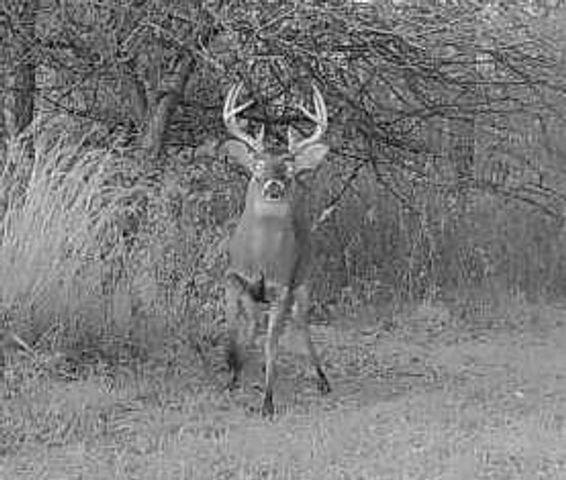 9159 Moreland Road, Jerome, MI 49249