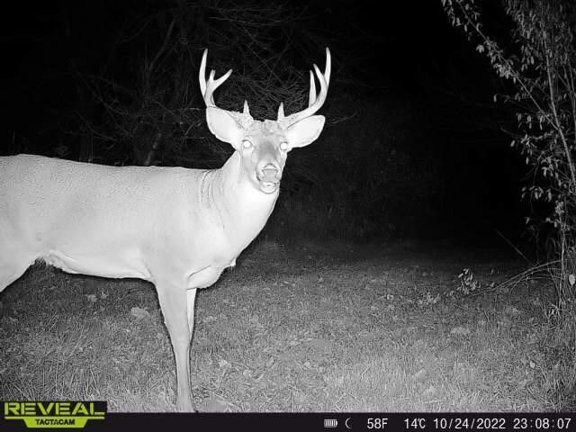 9159 Moreland Road, Jerome, MI 49249