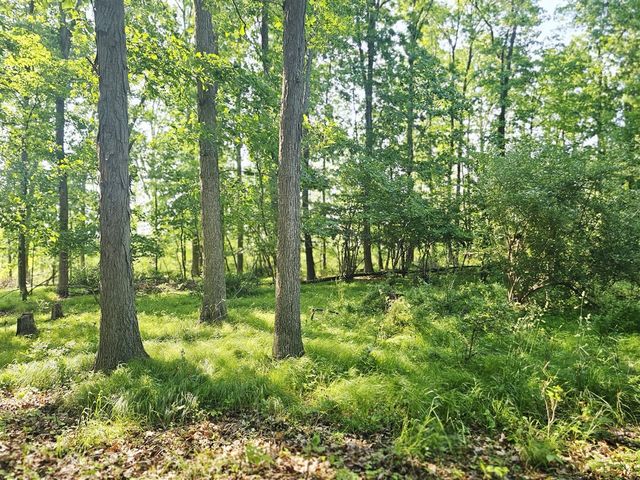 9159 Moreland Road, Jerome, MI 49249