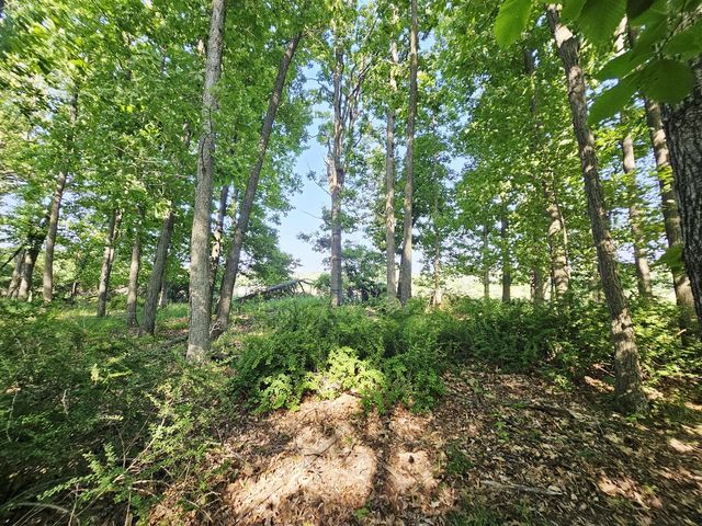 9159 Moreland Road, Jerome, MI 49249