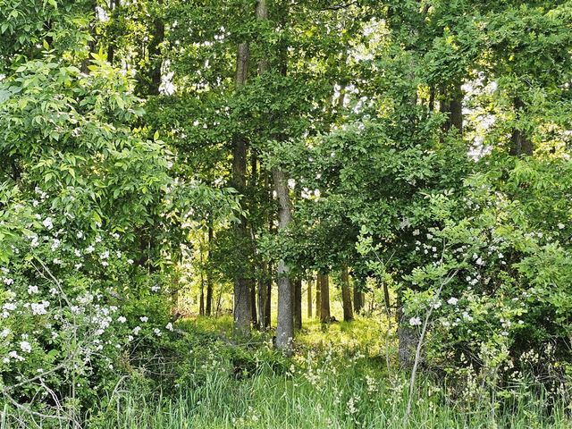 9159 Moreland Road, Jerome, MI 49249