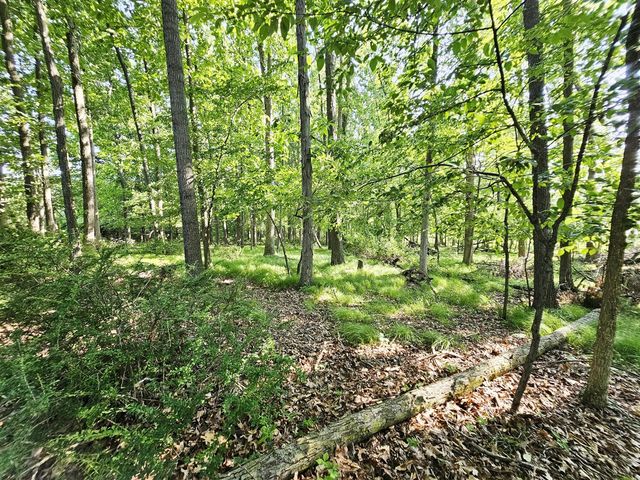 9159 Moreland Road, Jerome, MI 49249