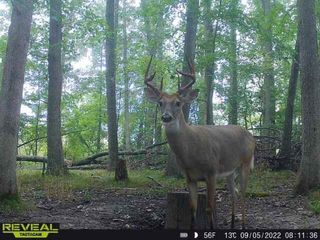 9159 Moreland Road, Jerome, MI 49249