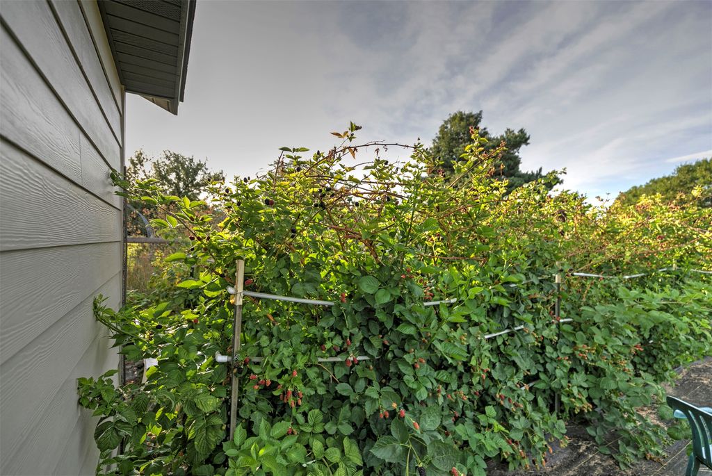 612 Wises Way, Corvallis, MT 59828 photo 78