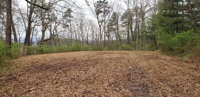 1121 Panorama Drive, Chattanooga, TN 37421