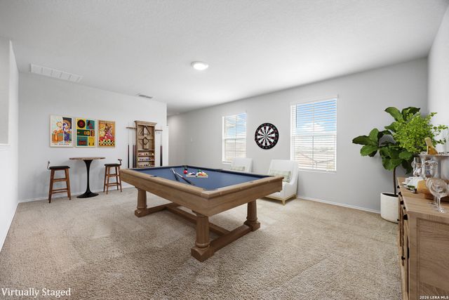 824 Cinnamon Teal, Seguin, TX 78155