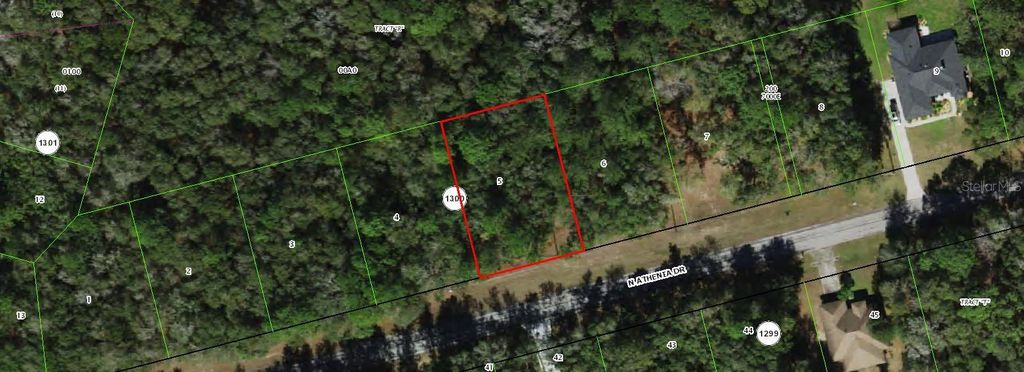 10205 N ATHENIA DRIVE, Citrus Springs, FL 34434