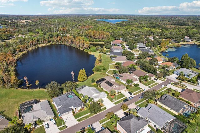 9107 CYPRESS KEEP LANE, Odessa, FL 33556