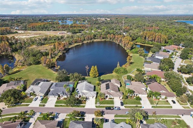 9107 CYPRESS KEEP LANE, Odessa, FL 33556