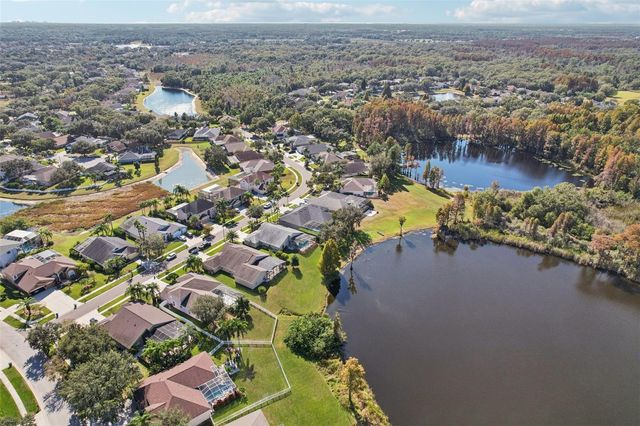 9107 CYPRESS KEEP LANE, Odessa, FL 33556