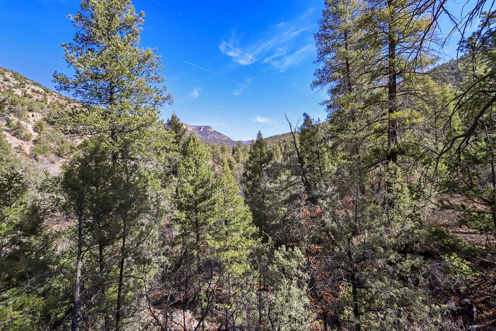 Image 23 of property listing at 729 San Diego Loop, Jemez Springs, NM 87025