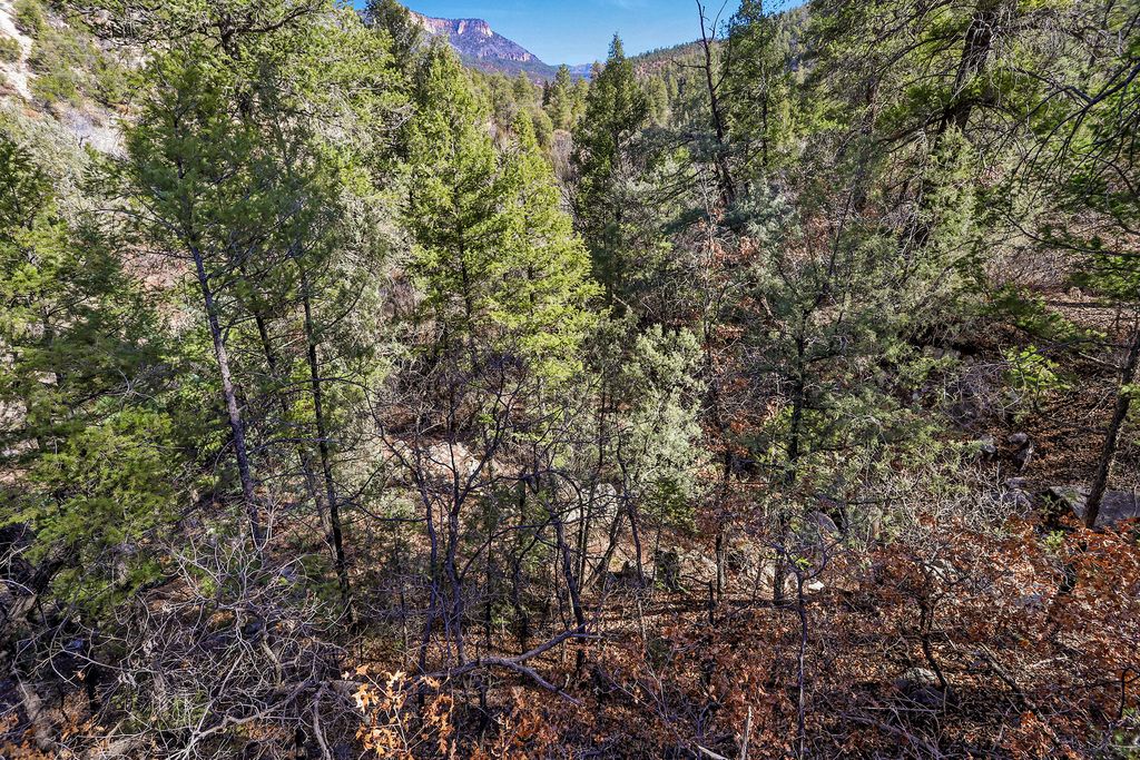 Image 24 of property listing at 729 San Diego Loop, Jemez Springs, NM 87025